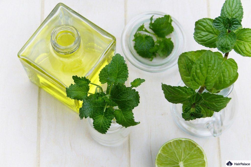 olio di menta piperita per la crescita dei capelli