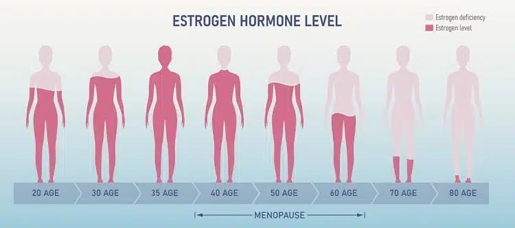 bassi livelli di estrogeni possono causare la caduta dei capelli